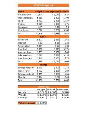 50 30 20 Rule Budget Excel Spreadsheet Worksheet Xlcsv XL Bundle V Idea Attractive