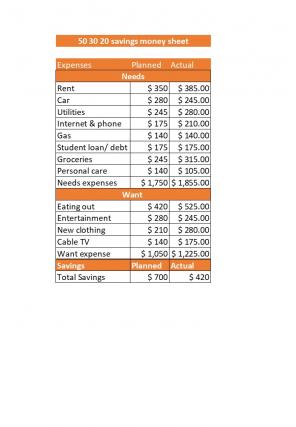 50 30 20 Rule Budget Excel Spreadsheet Worksheet Xlcsv XL Bundle V Editable Attractive