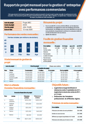 Rapport de projet mensuel pour la gestion d'entreprise avec rapport de performance des ventes infographie ppt document pdf