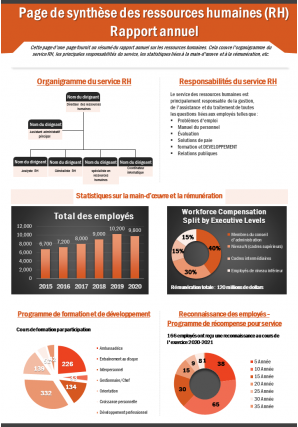 Page Sommaire Du Rapport Annuel Des Ressources Humaines RH Rapport De Présentation Ppt Document Pdf