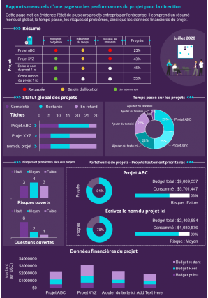 Rapports mensuels sur la performance du projet d'une page pour le rapport de présentation de la direction, document infographique ppt pdf