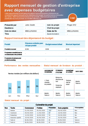 Rapport mensuel de gestion d'entreprise avec rapport de présentation des dépenses budgétaires document infographique ppt pdf