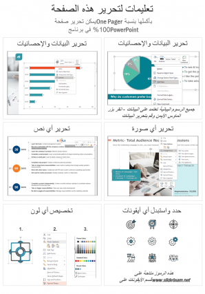 صفحة واحدة من صفحات سجل المبيعات اليومية، تقرير عرض تقديمي، مستند pdf، مخطط معلوماتي ppt