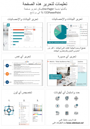 تقرير عرض ورقة الإنتاج اليومي بيجر واحد، وثيقة بي بي تي pdf