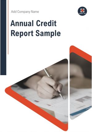 Annual credit report sample pdf doc ppt document report template