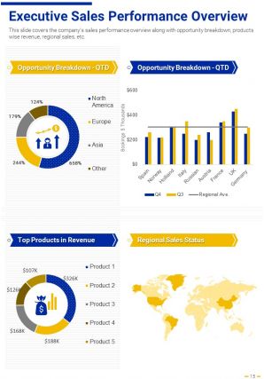 Annual Report Executive Summary Example Pdf Doc Ppt Document Report Template