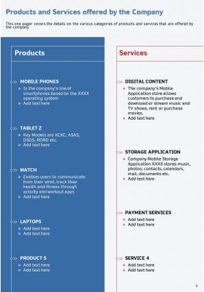 Annual report for risk management in manufacturing company 2020 2021 pdf doc ppt document report template