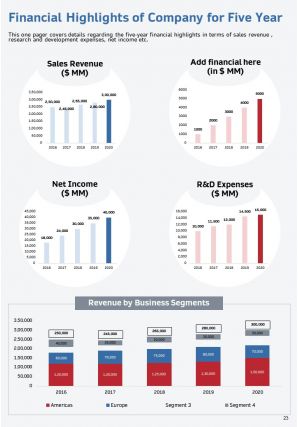 Annual report for risk management in manufacturing company 2020 2021 pdf doc ppt document report template