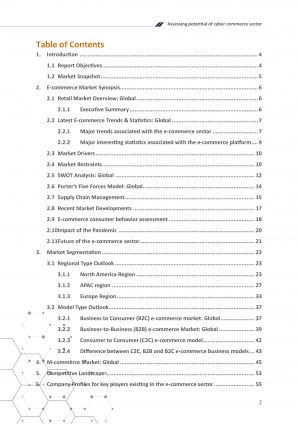 Assessing Potential Of Cyber Commerce Sector Pdf Word Document IR V Appealing Best