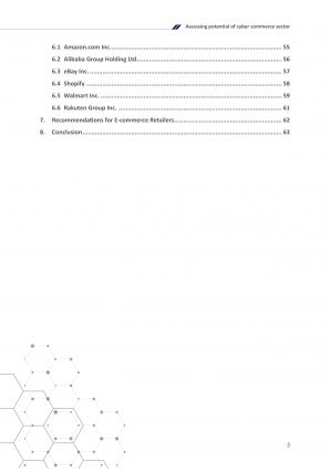 Assessing Potential Of Cyber Commerce Sector Pdf Word Document IR V Informative Best