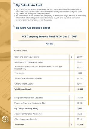 Bi fold big data financial assets balance sheet document report pdf ppt template