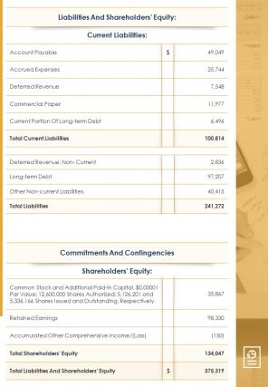 Bi fold big data financial assets balance sheet document report pdf ppt template