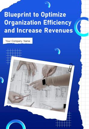 Blueprint To Optimize Organization Efficiency And Increase Revenues Report Sample Example Document