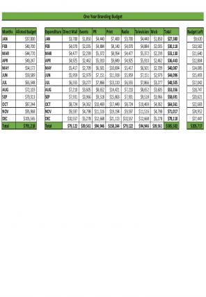 Branding Budget Excel Spreadsheet Worksheet Xlcsv XL Bundle V Impactful Informative