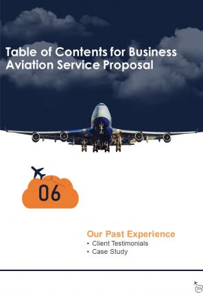 Business Aviation Service Proposal Sample Document Report Doc Pdf Ppt