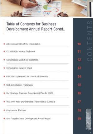 Business development annual report pdf doc ppt document report template