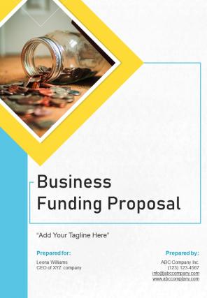 Business funding proposal example document report doc pdf ppt