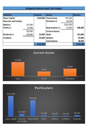 Cash Budget Excel Spreadsheet Worksheet Xlcsv XL Bundle Adaptable Customizable