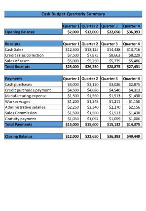 Cash Budget Excel Spreadsheet Worksheet Xlcsv XL Bundle Slides Compatible