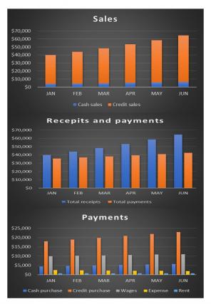 Cash Budget Excel Spreadsheet Worksheet Xlcsv XL Bundle Designed Compatible