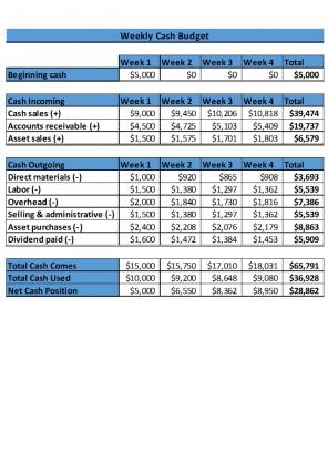 Cash Budget Excel Spreadsheet Worksheet Xlcsv XL Bundle Visual Compatible