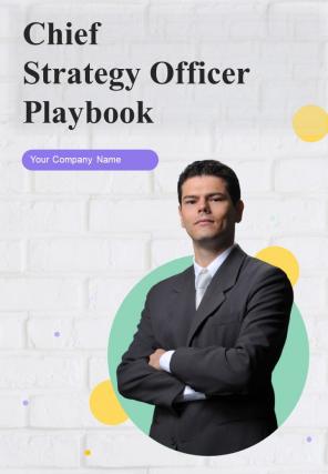 Chief Strategy Officer Playbook Report Sample Example Document