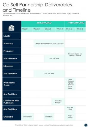 Co sell partnership proposal sample document report doc pdf ppt