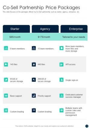 Co sell partnership proposal sample document report doc pdf ppt