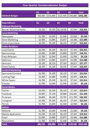 Commercialization Budget Excel Spreadsheet Worksheet Xlcsv XL Bundle V Adaptable Professionally