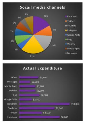 Commercialization Budget Excel Spreadsheet Worksheet Xlcsv XL Bundle V Impressive Multipurpose