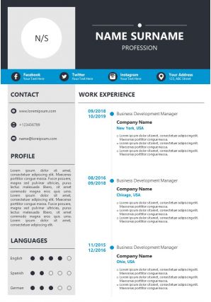 Curriculum vitae example template for job