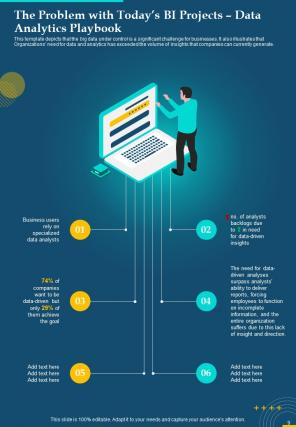 Data Analytics Playbook Report Sample Example Document