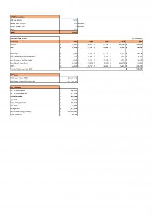 Financial Modeling And Valuation Business Plan For Skincare Cosmetic Store In Excel BP XL Content Ready Good