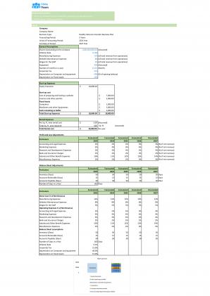 Financial Modeling And Valuation For Healthy Skincare Cosmetic Business Plan In Excel BP XL