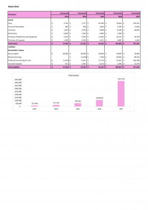 Financial Modeling And Valuation Of Retail Shoe Store Business Plan In Excel BP XL Compatible Interactive