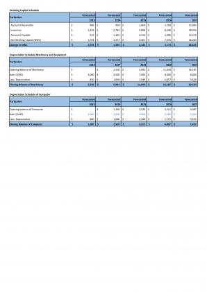 Financial Modeling And Valuation Of Shoe Business Plan In Excel BP XL Professionally Interactive