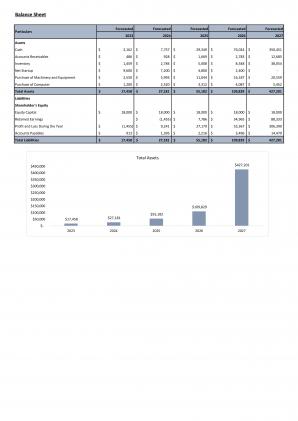 Financial Modeling And Valuation Of Shoe Shop Business Plan In Excel BP XL Pre-designed Interactive