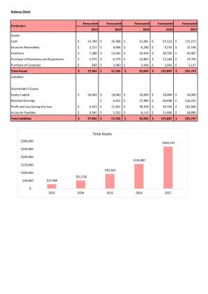 Financial Modeling And Valuation Of Skincare Start Up Business Plan In Excel BP XL Professional Visual