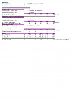 Financial Modeling For Consulting Advertising And Marketing Agency In Excel BP XL Graphical