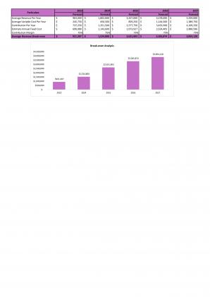 Financial Modeling For Consulting Advertising And Marketing Agency In Excel BP XL Pre-designed