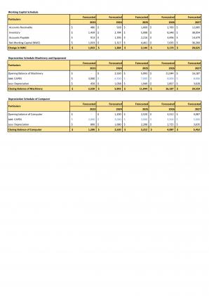 Financial Modeling Shoe Store Business Plan In Excel BP XL Professional Attractive