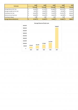 Financial Modeling Shoe Store Business Plan In Excel BP XL Colorful Attractive