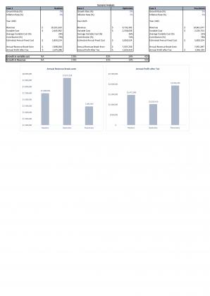 Financial Statements And Valuation For Planning Wheat Farming Business Plan In Excel BP XL Best Good