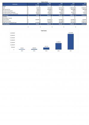 Financial Statements And Valuation For Workout Zone Business Plan In Excel BP XL Customizable Good