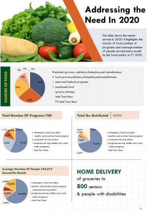 Food pantry annual report template pdf doc ppt document report template