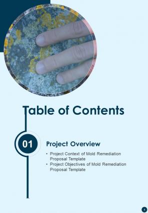 Mold Remediation Proposal Template Report Sample Example Document