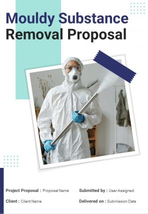 Mouldy Substance Removal Proposal Report Sample Example Document