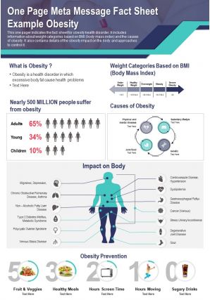 One page meta message fact sheet example obesity report ppt pdf document