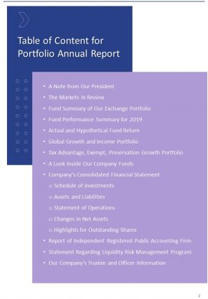 Portfolio annual report pdf doc ppt document report template