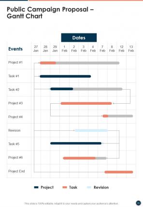 Public campaign proposal example document report doc pdf ppt